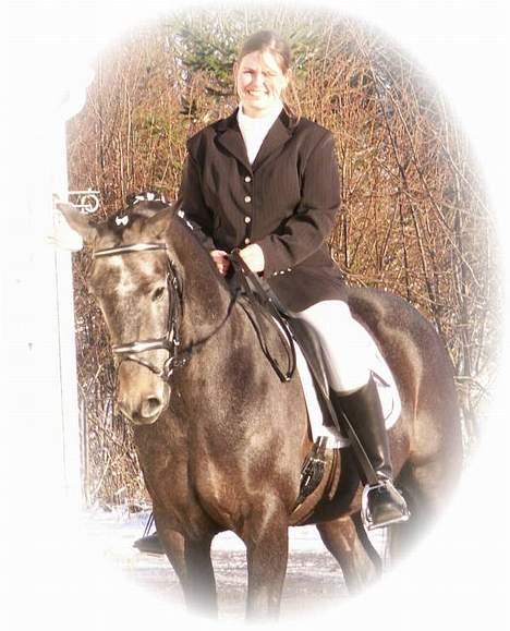 Anden særlig race Moon Shadow *SOLGT* billede 13