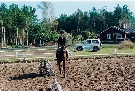 Anden særlig race Bonni (Solgt) billede 7