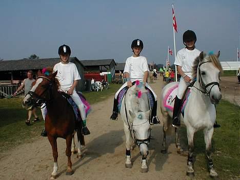 Anden særlig race Dixie  - Det er lige inden vi skal ind på banen til DM i ponygames (den røde er mig og dixie"?!§ billede 3