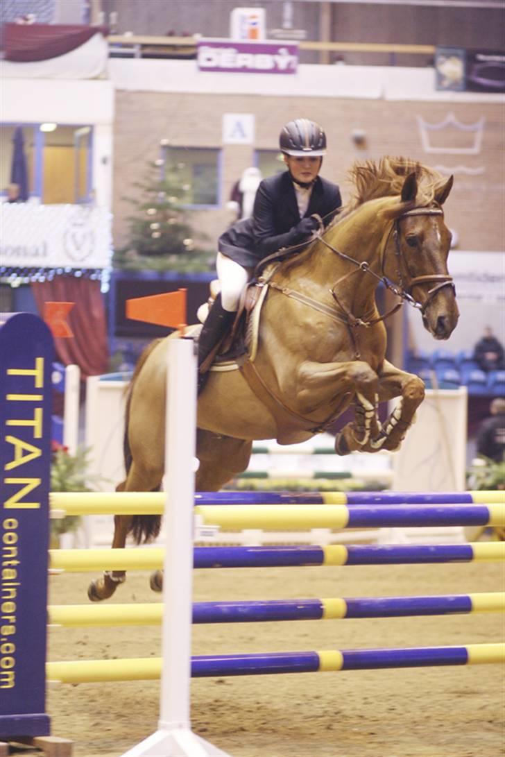 Dansk Varmblod Domingo - Mingo og mig til Danish Christmas Show 2007 - MB billede 15
