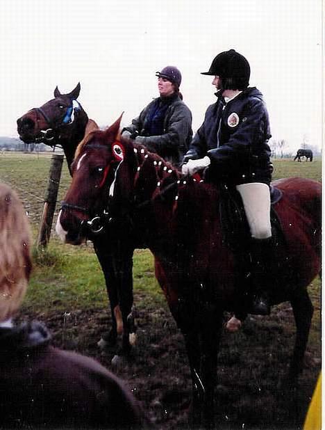 Anden særlig race Cherie > død 30.okt.< - Et stævne i 1998 - Jeg vandt spring =D  billede 14
