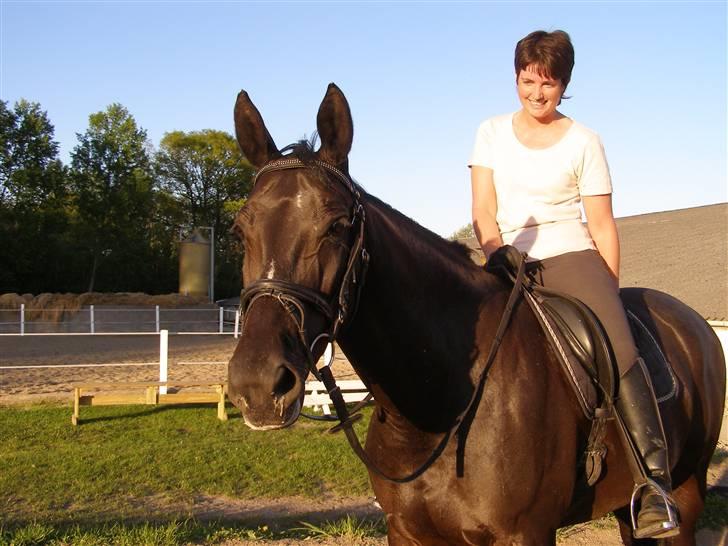 Anden særlig race Trojka (Himmelhest) - 9. maj 08 billede 1