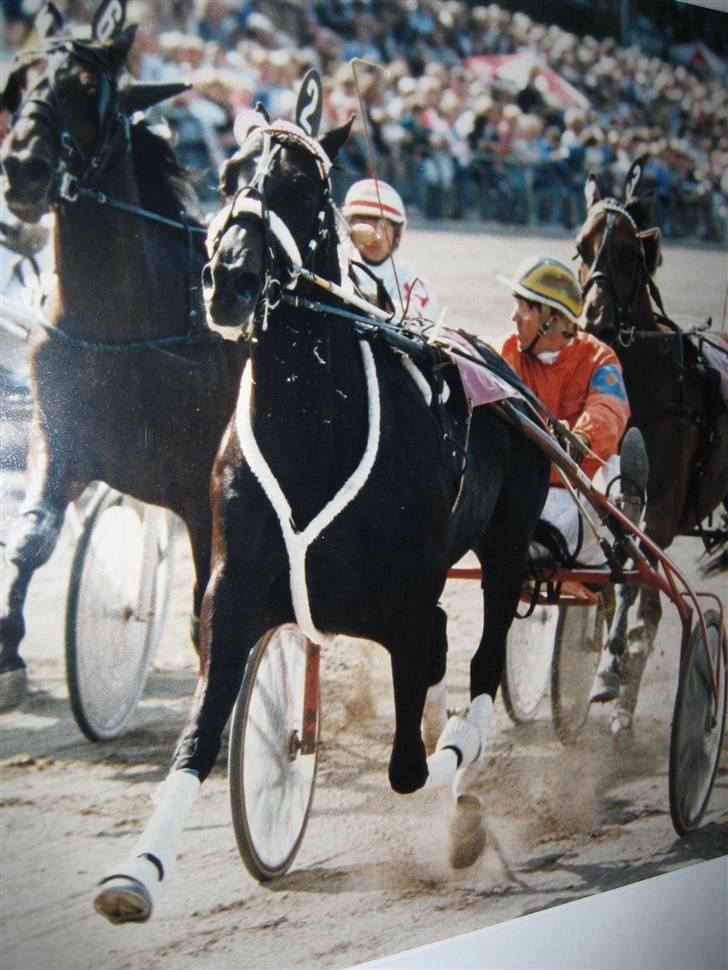 Traver Junior Røg (død) - Junior vinder derby trøstløb 1986 <3 billede 1