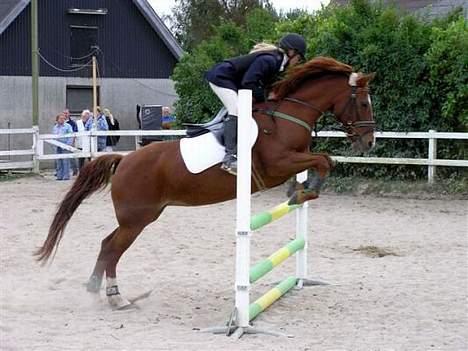 DSP Fifi - Worlds greatest † - Mig og Fifi til stævne på trollemose. 1. plads i LB . :) billede 1