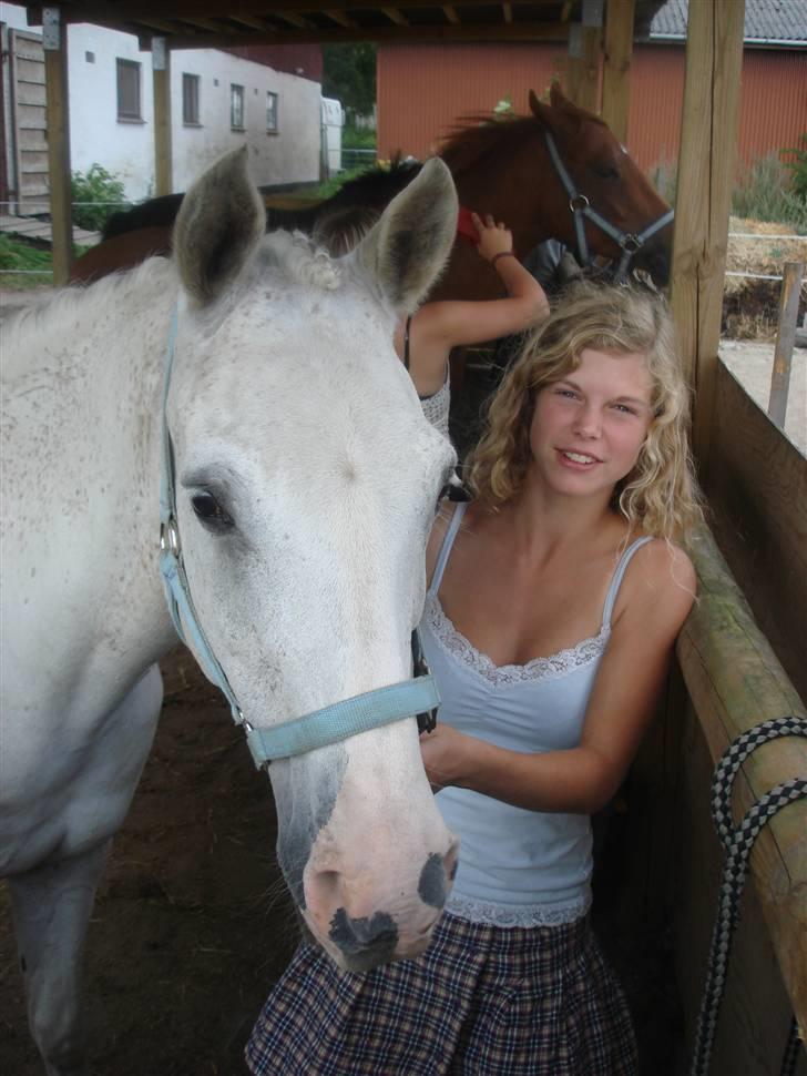 Arabisk fuldblod (OX) Aliman OX R.I.P. - Tirsdag den 7. august 2007.. To dage før dyrelægen kom :´( billede 19