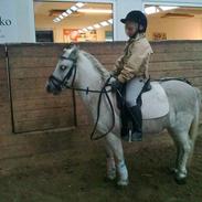 Anden særlig race mussibal<'3 part(FARVEL) 