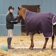 DSP Moonligth Dancer. Lånt ud