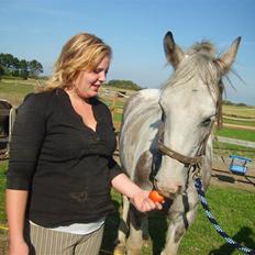 Anden særlig race Kousgaarden's Kimmi SOLGT