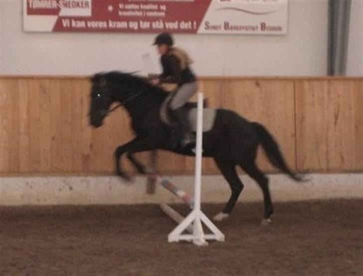 Anden særlig race Mozart - 12# Så springer vi ;)  billede 12