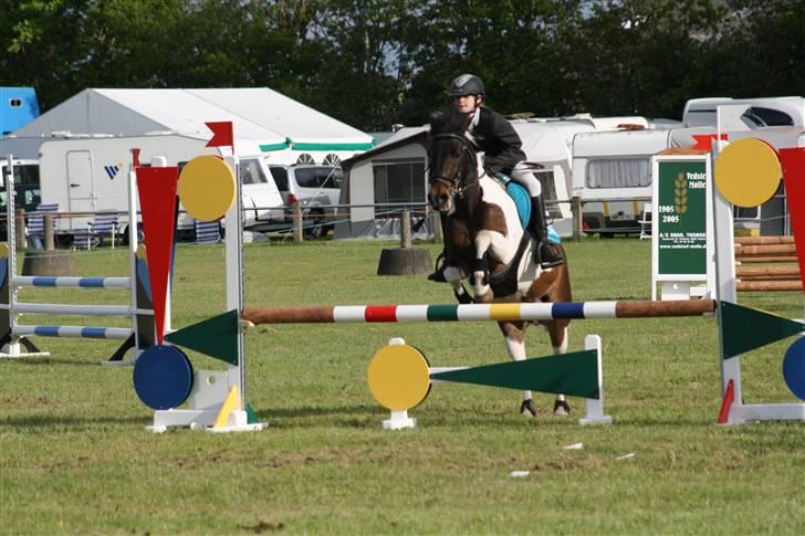 Anden særlig race Royal Rubin billede 10