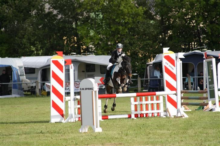 Anden særlig race Royal Rubin billede 11