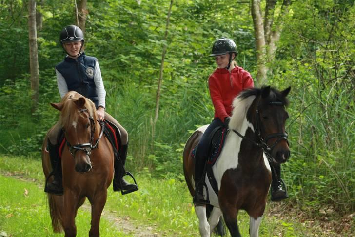 Anden særlig race Royal Rubin billede 14