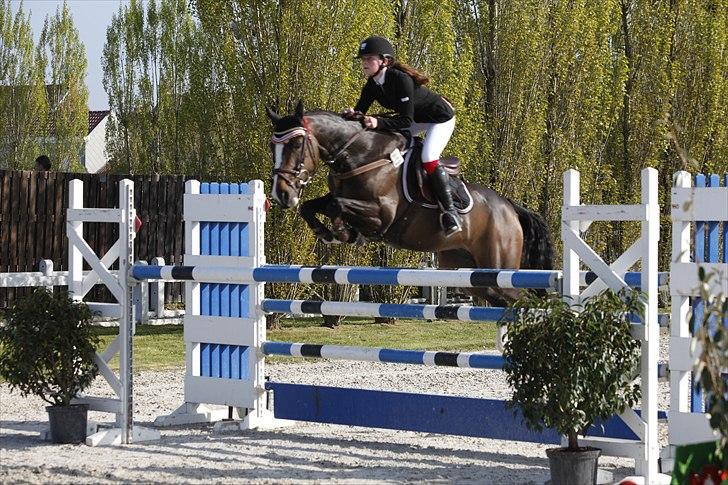 DSP Feminin - 125cm, Internationalt stævne i Moorsele, Belgien 2011 billede 19