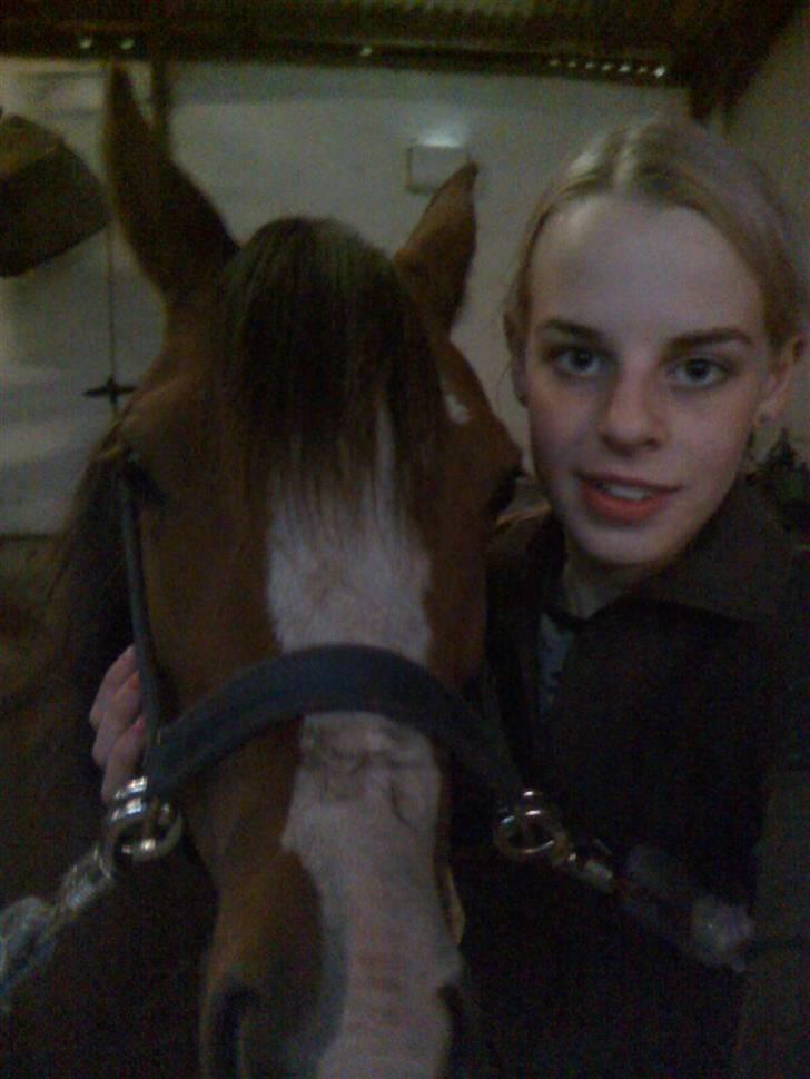 Welsh Pony (sec B) pretty R.I.P. - mig og pretty:) billede 17