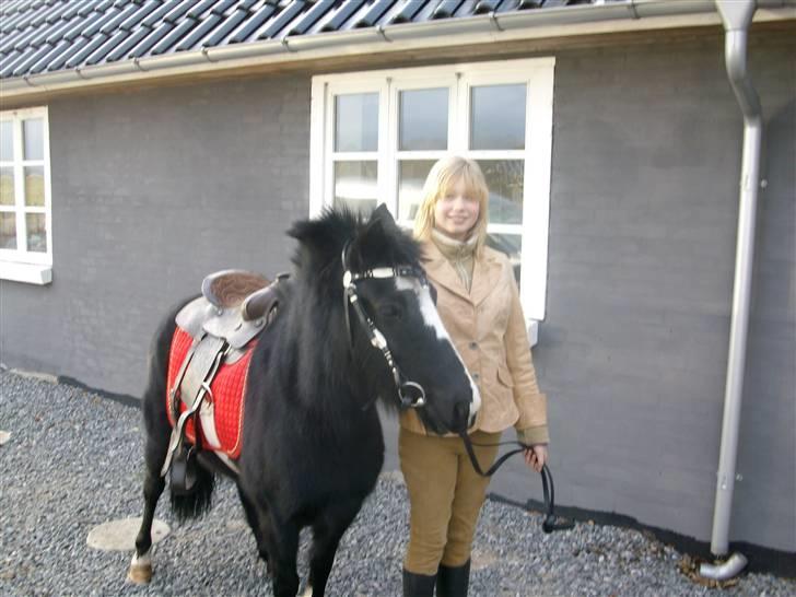 Anden særlig race Blackie billede 1