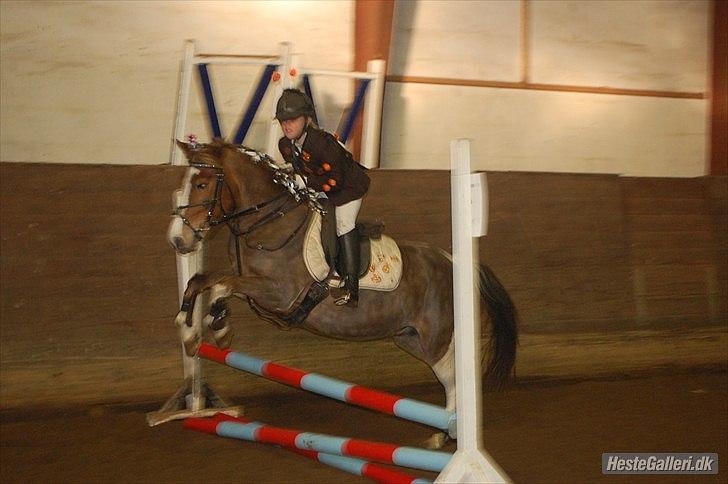 Anden særlig race Chanel - kommunemester 2013 spring - Halloween springstævne 2010 billede 7