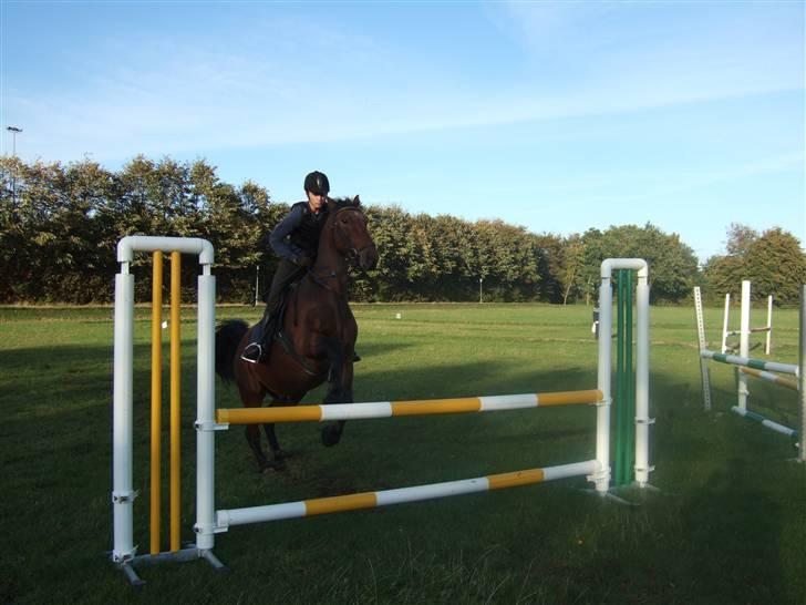 Oldenborg Jeppe af østerholm - hey jacob skal jeg sætte af helt her ude fra... okay så gør jeg det..hehe billede 17