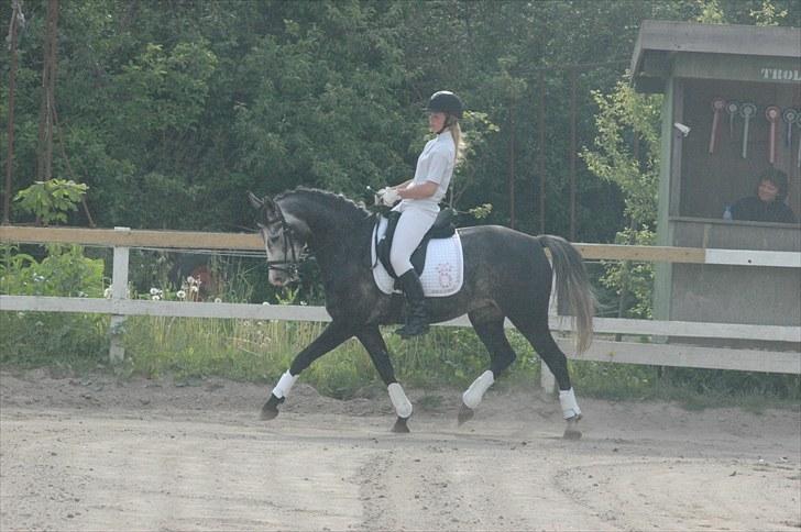 Oldenborg Cassandra *STJERNE* - Dressurstævne på TMK, Cas første stævne - 5 år - Juni 2010 *Foto: Louise* billede 7