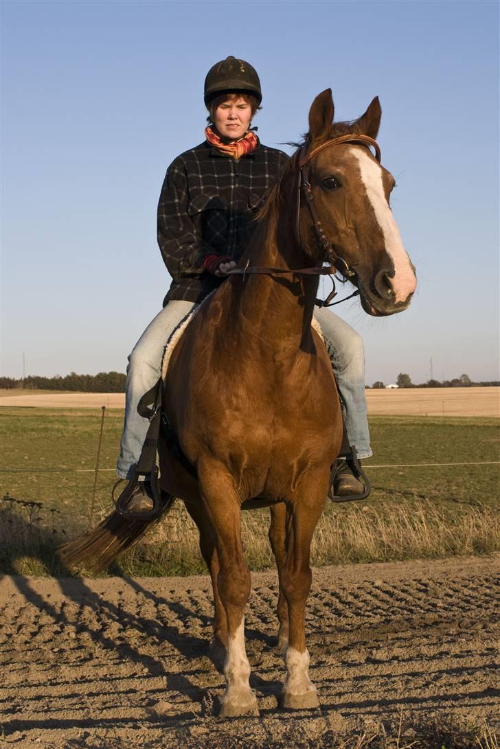 Anden særlig race Sasha *RIP* billede 3