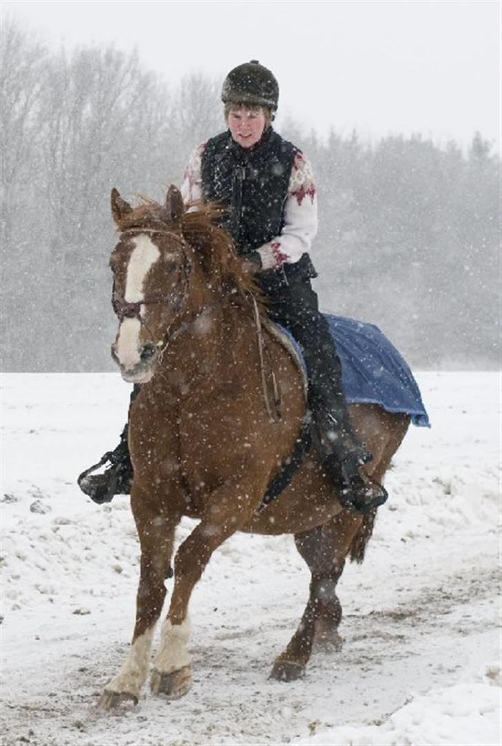 Anden særlig race Sasha *RIP* - Januar 2010 billede 9