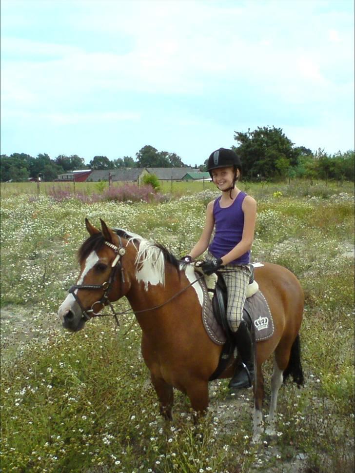Pinto Tippi *SOLGT* - mig og tippi der ude på en lille tur :-) billede 3