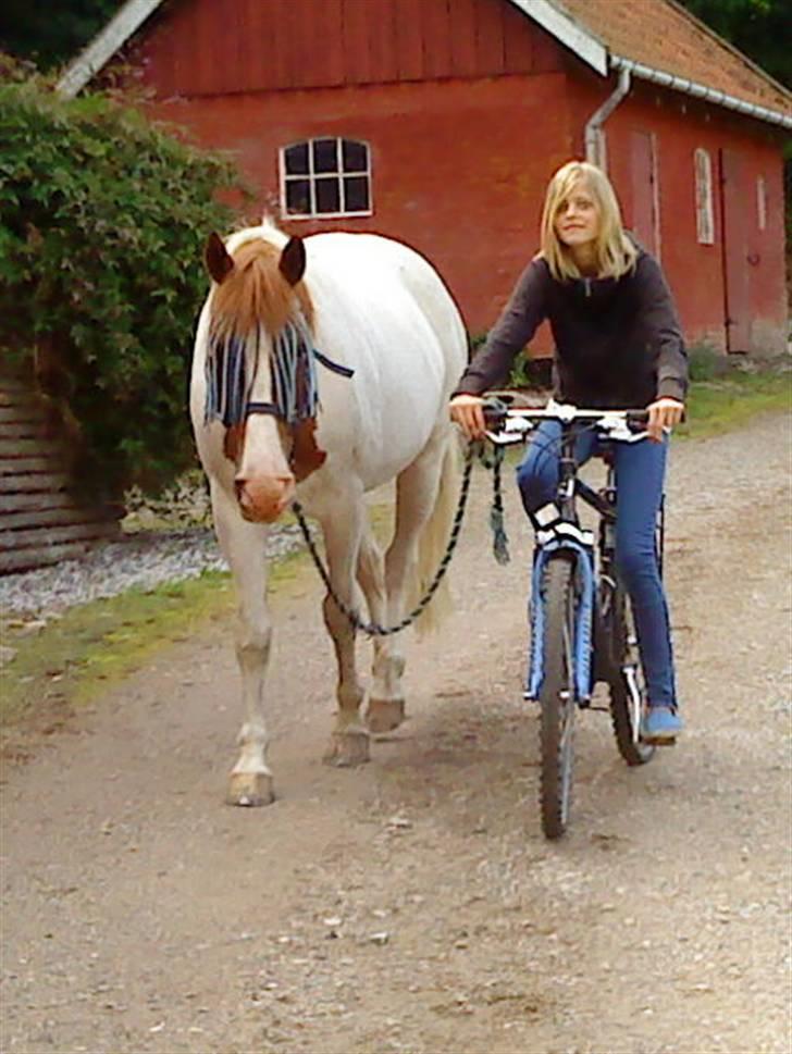 Anden særlig race Charmoon - SOLGT :-((( - vi cykler lige en lille tur ikk Charmoon? -jo det kan vi da sagtens, det er da bare hygge! Vi kan gøre ALT med dig ! :* billede 7