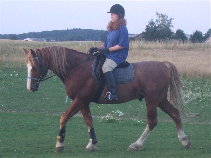 Frederiksborg Cota Friis - Mig og Cota på springbanen, lækker gang, lækker og naturlig holdning! :) billede 7