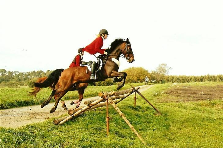 DSP Kahsmir SOLGT billede 2