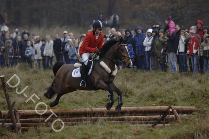 DSP Kahsmir SOLGT billede 3