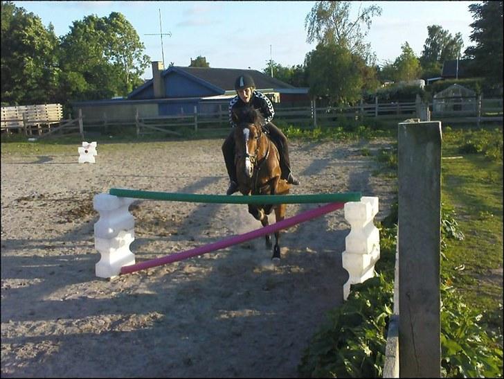 DSP Kahsmir SOLGT billede 4