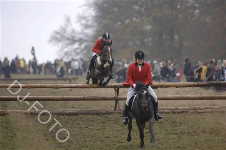 DSP Kahsmir SOLGT billede 5