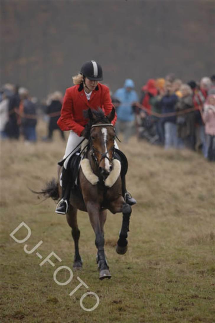 DSP Kahsmir SOLGT billede 7