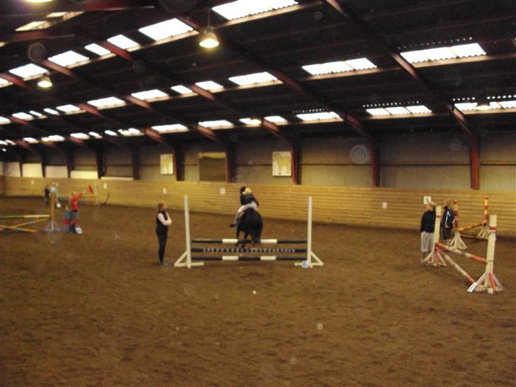 Anden særlig race Valde-solgt..;( - vores første lb<38D billede 14