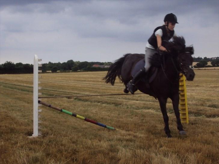 Anden særlig race Valde-solgt..;( - spring hjemme:) billede 16