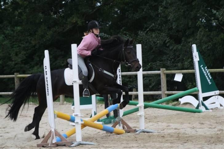 Anden særlig race Thyra - Stævne. 50-60-70 Foto: Annika billede 10