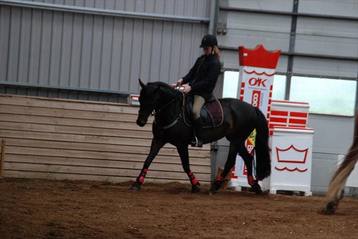 Anden særlig race Thyra - Til undervisning ved Julie... Foto: Mathilde billede 11