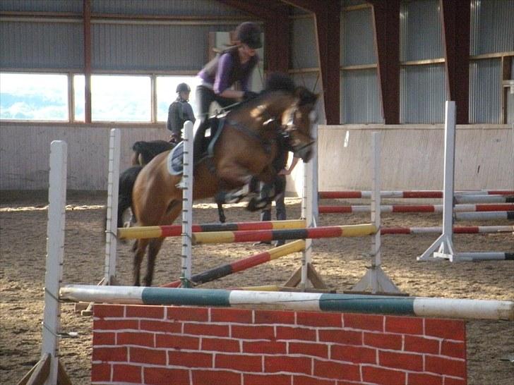 New Forest Egeballes Petroleum solgt <3 billede 2