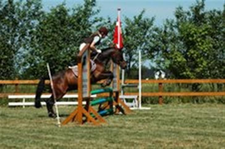 Anden særlig race ringo billede 8