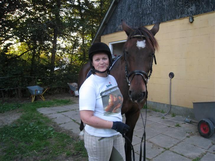 Dansk Varmblod Fairy Tale ( Big Baby ) - Mig og Fairy Tale dagen efter jeg havde fået ham hjem.. billede 12