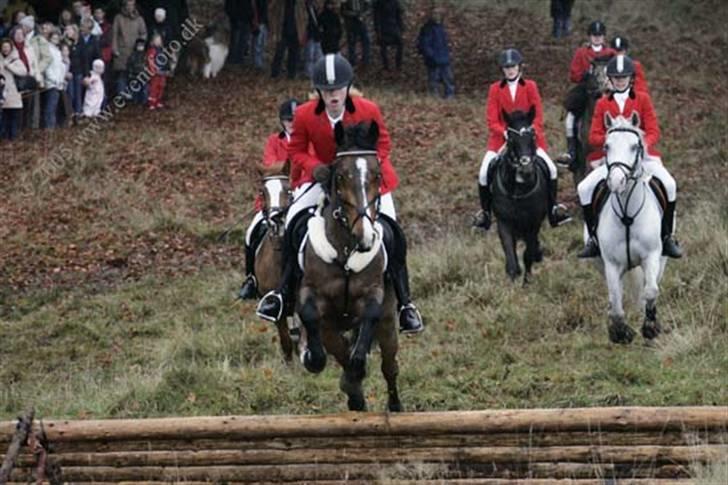 DSP Kahsmir SOLGT billede 8