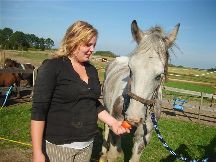 Anden særlig race Kousgaarden's Kimmi SOLGT billede 1