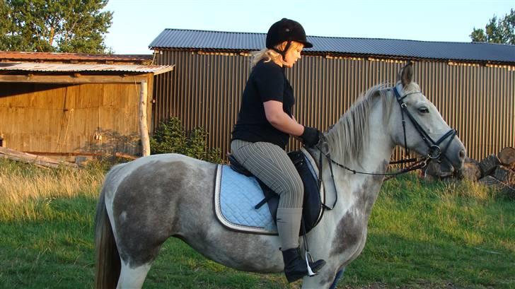 Anden særlig race Kousgaarden's Kimmi SOLGT billede 2