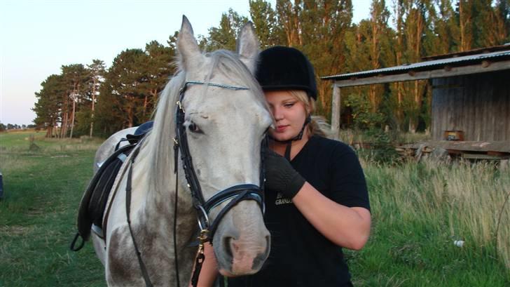 Anden særlig race Kousgaarden's Kimmi SOLGT billede 3