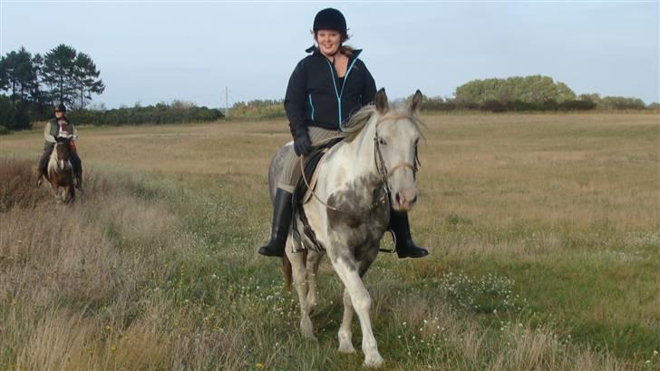 Anden særlig race Kousgaarden's Kimmi SOLGT billede 5