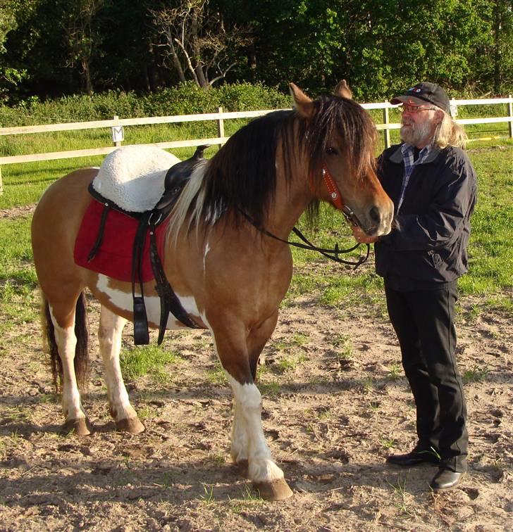 Anden særlig race  Palitte  SOLGT billede 5