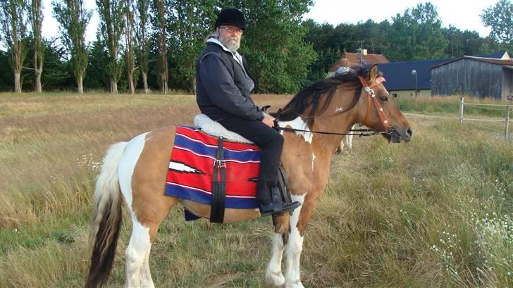 Anden særlig race  Palitte  SOLGT billede 9