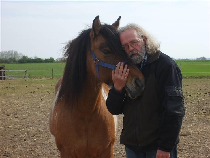 Anden særlig race  Palitte  SOLGT billede 13