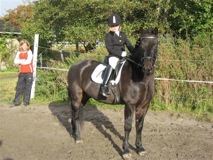 Anden særlig race Bailando (Frede)  - 4. oktober 2009: Vi skal til at ide LD2, som vi vandt!  billede 8