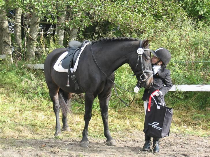 Anden særlig race Bailando (Frede)  - Min første røde sløjfe!  billede 9