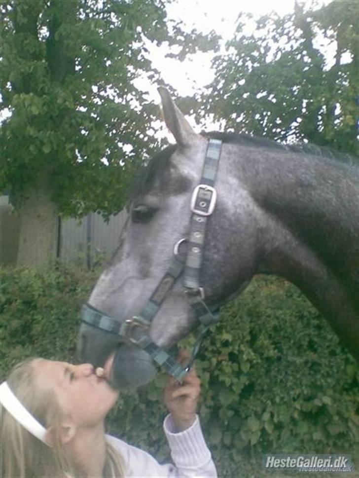 Anden særlig race Bastiansborgs Barney <3 - Ikke engang en godbid kan komme imellem os :i ILOVEYOU!! billede 4